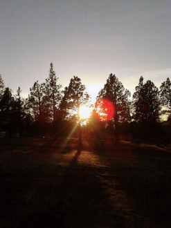 sunrise